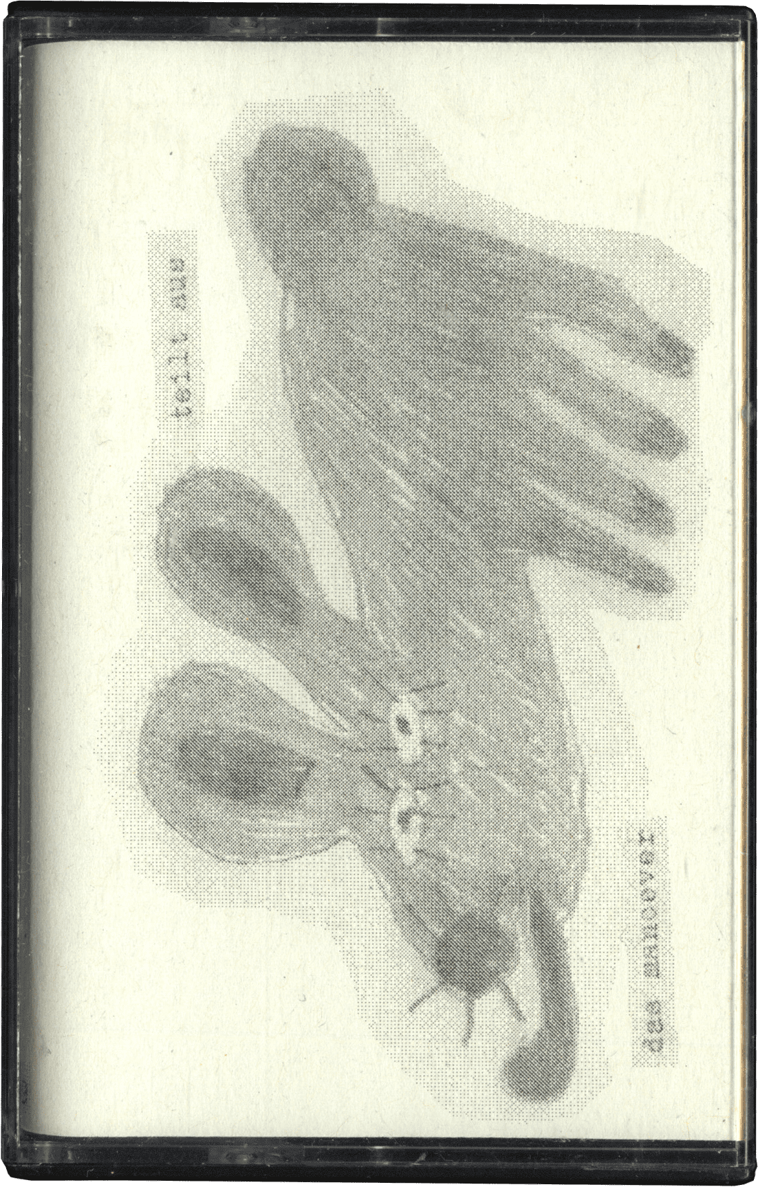 fehlende Vorderseite